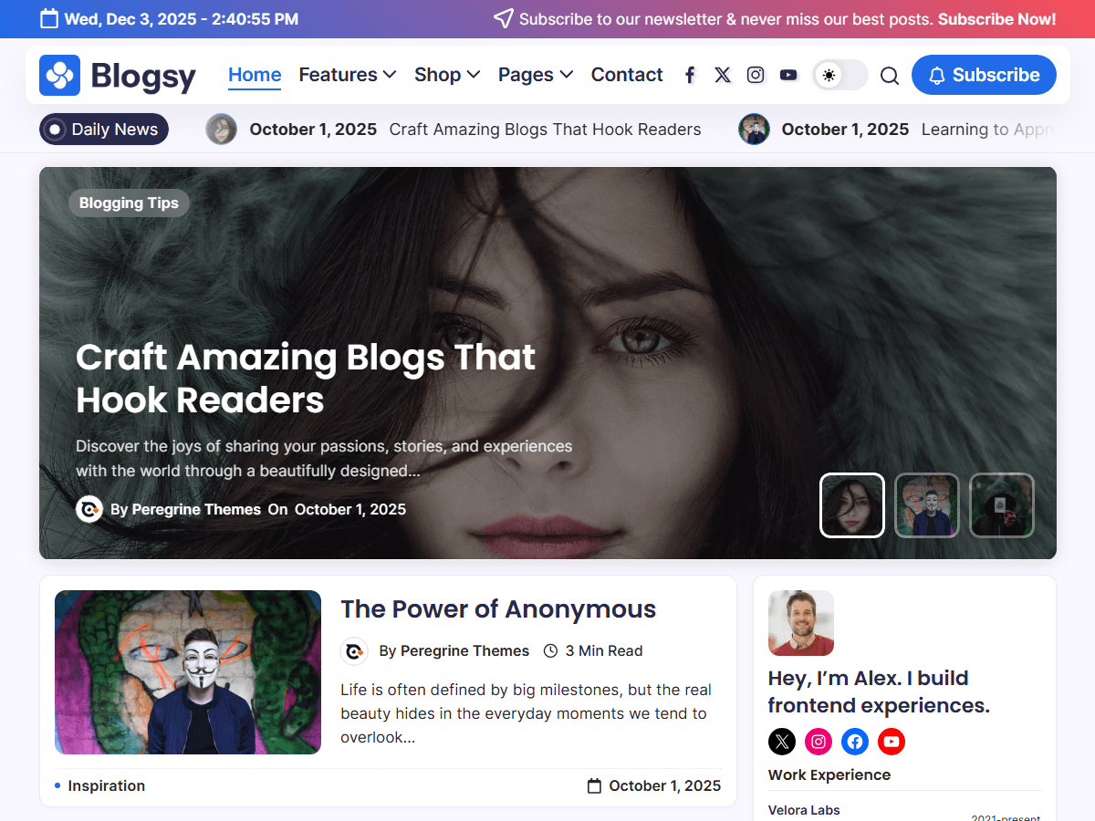 Blogsy—Ultimate WordPress Theme for Bloggers - Peregrine Themes
